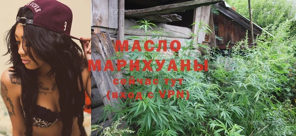 амф Алексин
