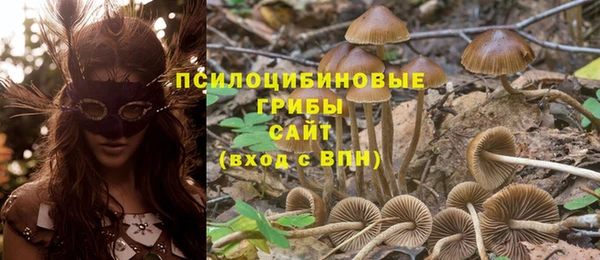спиды Кинешма