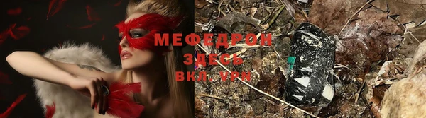 амф Алексин