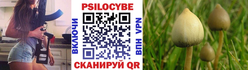 Псилоцибиновые грибы мицелий что такое Чита