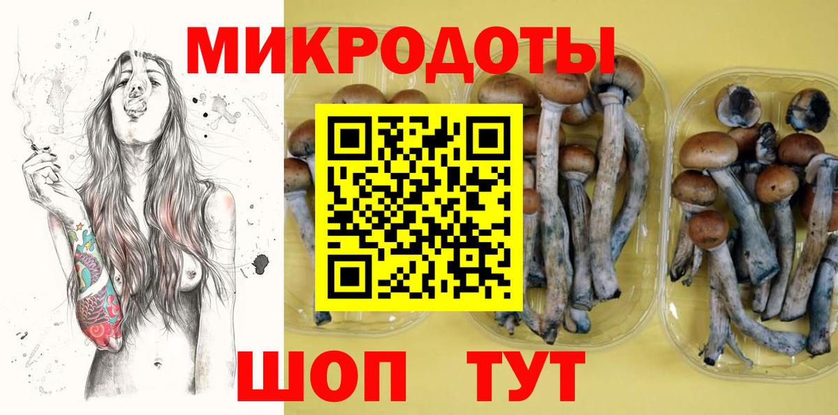 Псилоцибиновые грибы прущие грибы  Вход с VPN  Чита 